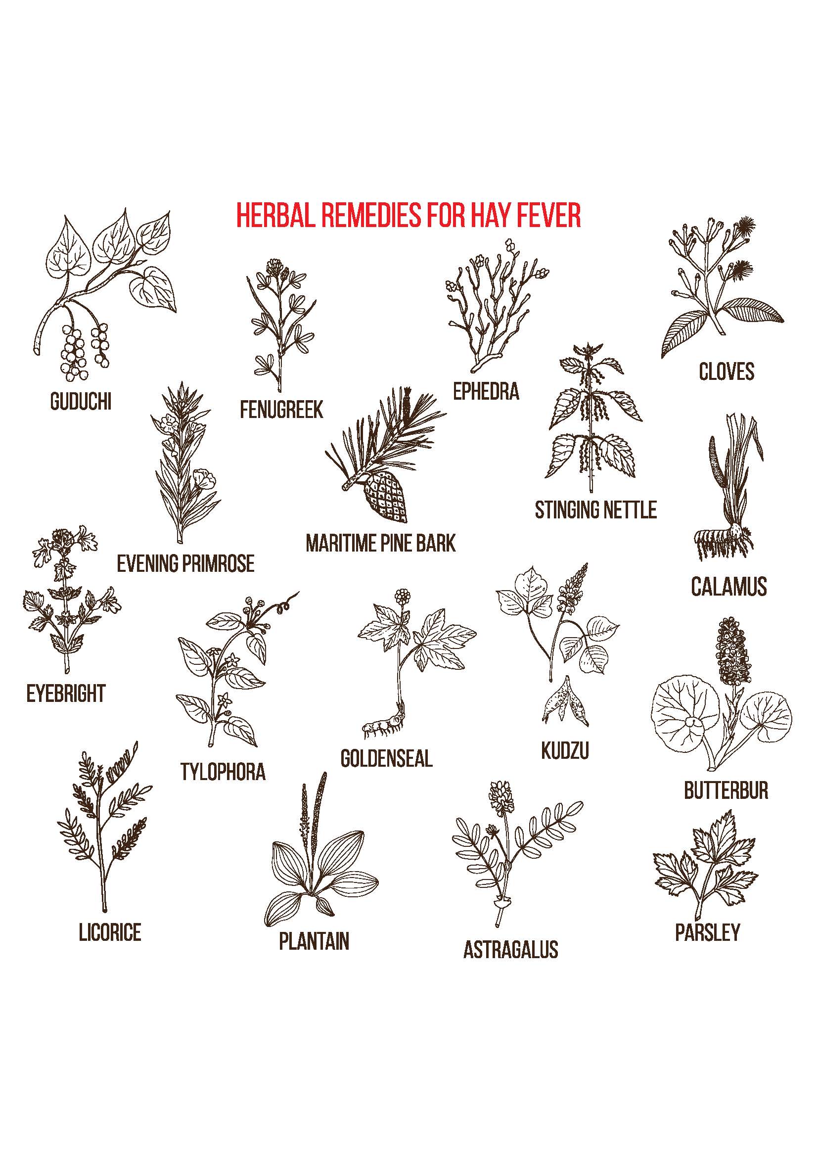 Natural Remedies for Hayfever