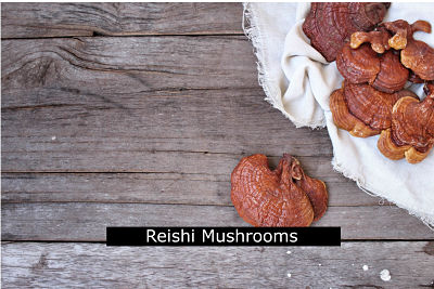 Reishi Mushrooms